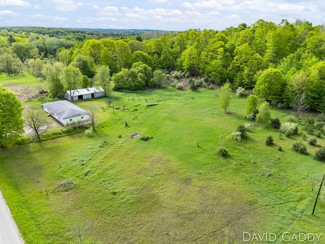 9081 E Baker Rd, Hesperia, MI 49421 - aerial view of sparsely populated area