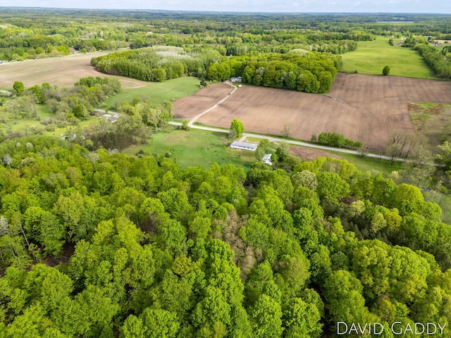 9081 E Baker Rd, Hesperia, MI 49421 - drone / aerial view of a forest