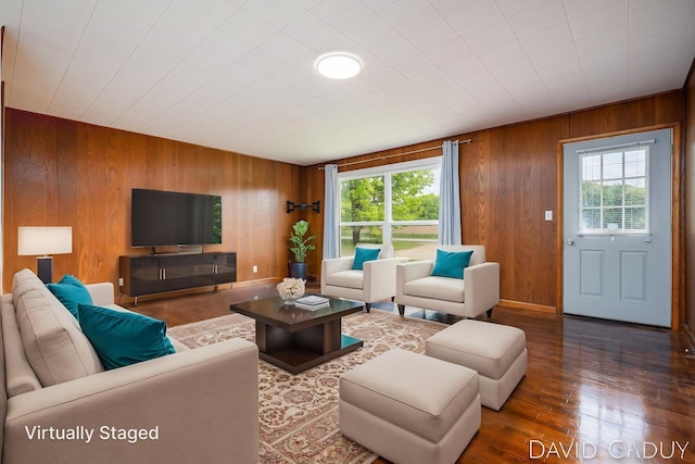 9081 E Baker Rd, Hesperia, MI 49421 - living room featuring wood walls, plenty of natural light, and wood finished floors