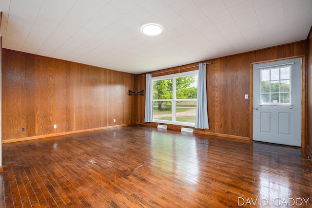 9081 E Baker Rd, Hesperia, MI 49421 - empty room with wood walls, plenty of natural light, wood-type flooring, and baseboards