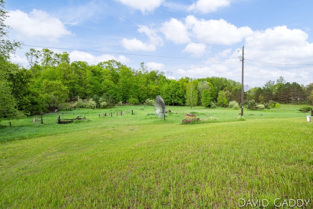 9081 E Baker Rd, Hesperia, MI 49421 - view of green lawn with a view of countryside