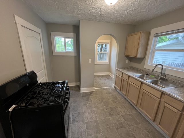1008 S Holmes St, Lansing, MI 48912 - kitchen with black gas range oven, a sink, light brown cabinetry, plenty of natural light, and a textured ceiling