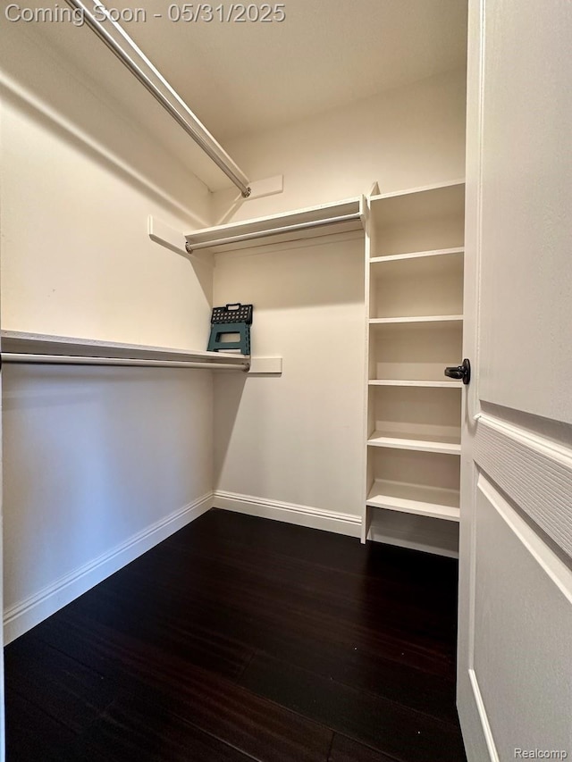 52006 Finch Ct, Shelby Twp, MI 48315 - spacious closet featuring dark wood-style floors