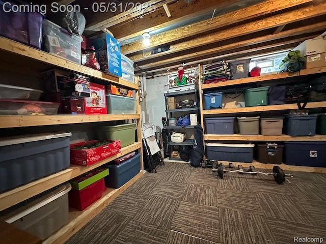 52006 Finch Ct, Shelby Twp, MI 48315 - view of storage area