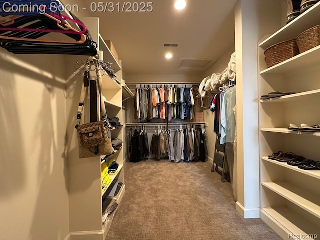 52006 Finch Ct, Shelby Twp, MI 48315 - walk in closet with attic access and carpet flooring