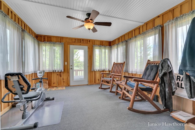 5777 N Broadway, Freeport, MI 49325 - sunroom with wooden walls and carpet