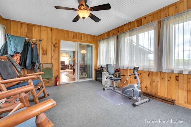 5777 N Broadway, Freeport, MI 49325 - exercise area with wooden walls, carpet floors, and ceiling fan