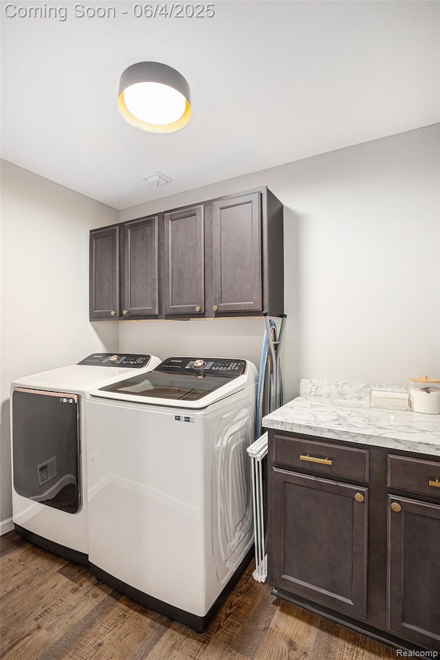 13210 River Bend Dr, Linden, MI 48451 - washroom with cabinet space, washing machine and clothes dryer, and dark wood-style flooring