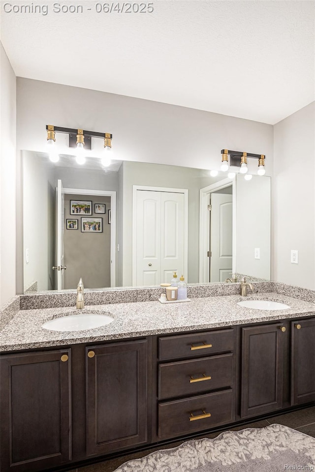 13210 River Bend Dr, Linden, MI 48451 - full bath featuring double vanity