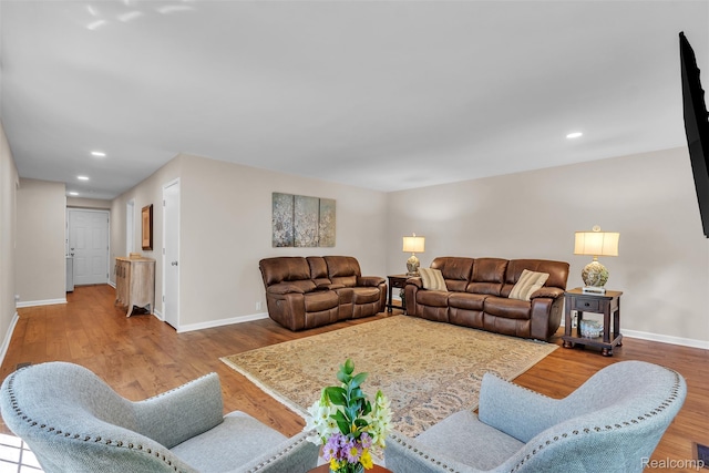 28200 E Greenmeadow Cir, Farmington Hills, MI 48334 - living area featuring baseboards, wood finished floors, and recessed lighting