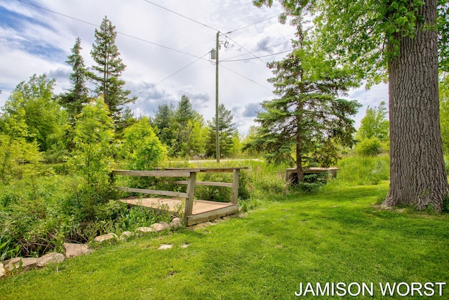 4403 4th St, Caledonia, MI 49316 - view of grassy yard