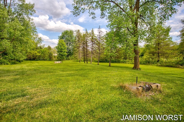 4403 4th St, Caledonia, MI 49316 - view of grassy yard