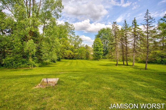 4403 4th St, Caledonia, MI 49316 - view of grassy yard