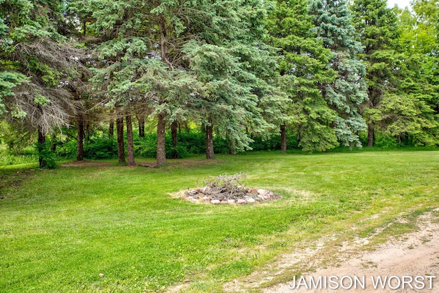 4403 4th St, Caledonia, MI 49316 - view of green lawn