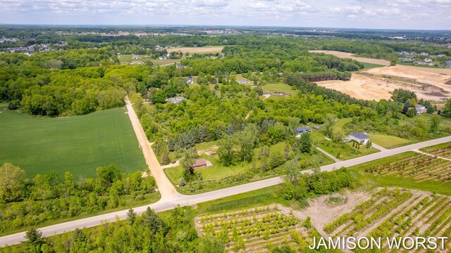 4403 4th St, Caledonia, MI 49316 - aerial view of sparsely populated area with abundant farmland