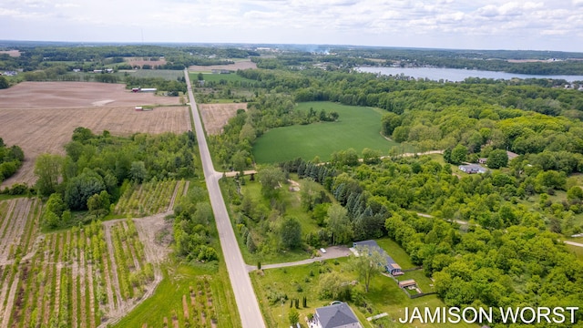 4403 4th St, Caledonia, MI 49316 - overview of rural landscape with a large body of water