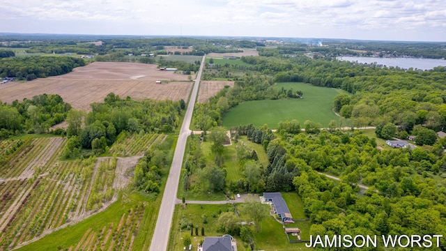 4403 4th St, Caledonia, MI 49316 - aerial view of sparsely populated area featuring a large body of water