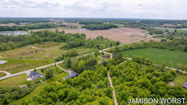 4403 4th St, Caledonia, MI 49316 - overview of rural landscape with extensive farmland