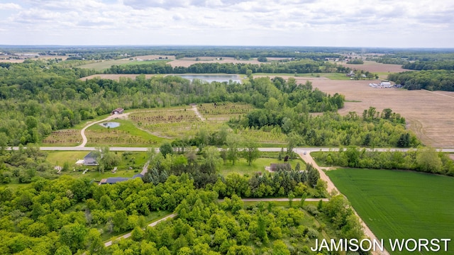 4403 4th St, Caledonia, MI 49316 - aerial view of sparsely populated area with a large body of water