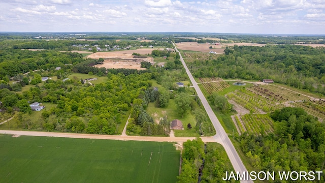 4403 4th St, Caledonia, MI 49316 - aerial view of property's location with rural landscape and rows of crops