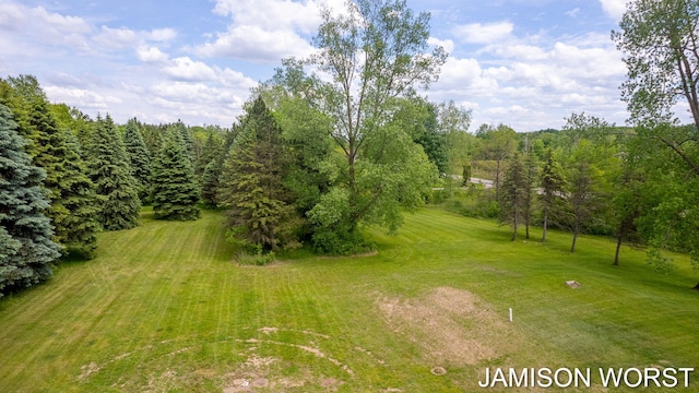 4403 4th St, Caledonia, MI 49316 - view of grassy yard
