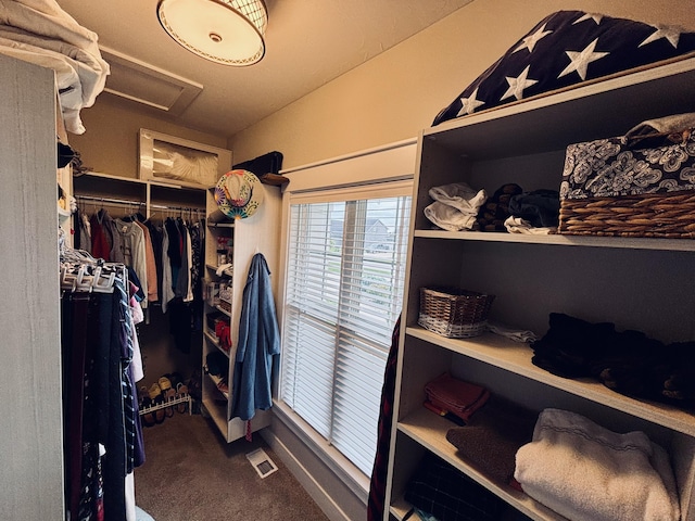 1692 Gloryfield Dr, Byron Center, MI 49315 - spacious closet with dark carpet and attic access