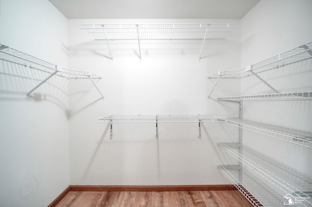 214 Roosevelt St, Dundee, MI 48131 - walk in closet featuring wood finished floors