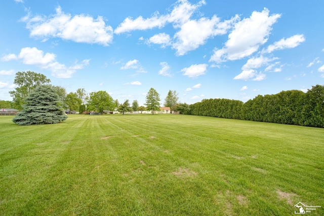 214 Roosevelt St, Dundee, MI 48131 - view of grassy yard