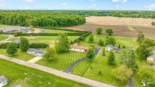 214 Roosevelt St, Dundee, MI 48131 - aerial view of sparsely populated area with extensive farmland