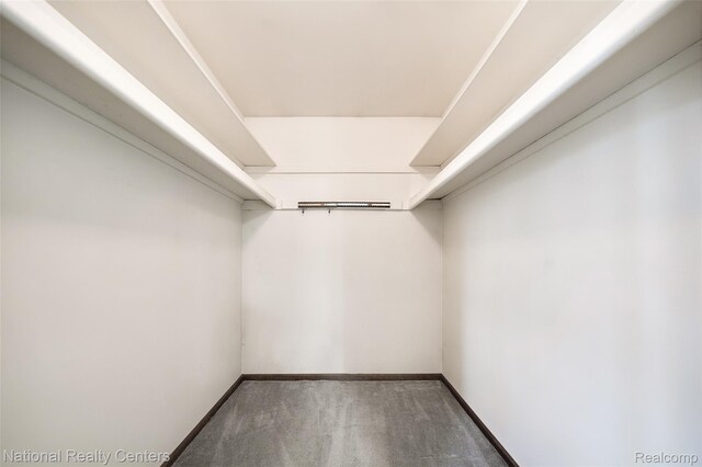 892 Hemlock Ct, Rochester, MI 48307 - spacious closet with carpet flooring