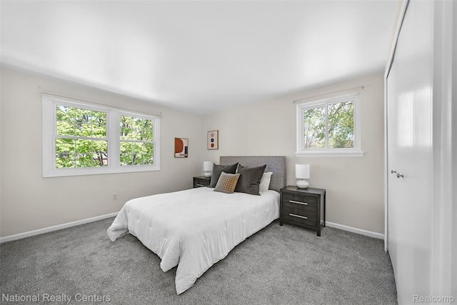 892 Hemlock Ct, Rochester, MI 48307 - bedroom featuring multiple windows, carpet, and baseboards