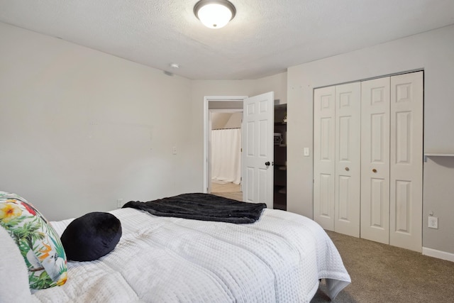 1645 College Ave SE, Grand Rapids, MI 49507 - bedroom with carpet floors and a closet