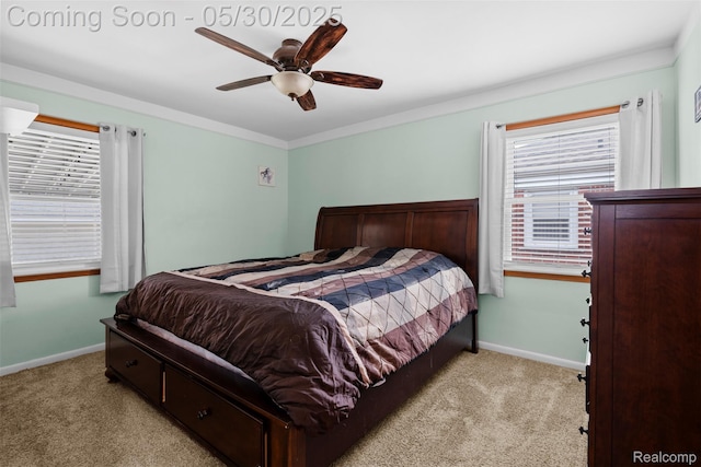 25305 Ursuline St, Saint Clair Shores, MI 48081 - bedroom with carpet floors, baseboards, ceiling fan, and crown molding