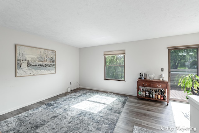 6387 Wainscot Dr SE Unit 102, Grand Rapids, MI 49546 - spare room with wood finished floors, a textured ceiling, and baseboards