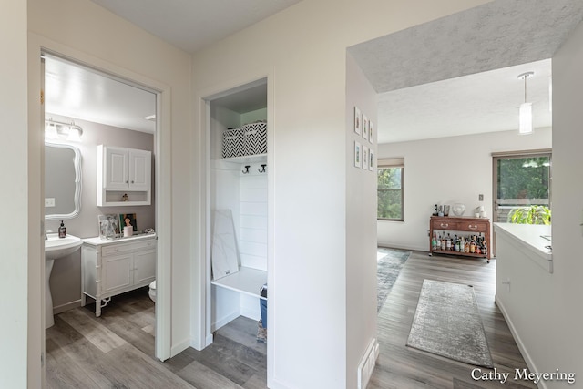 6387 Wainscot Dr SE Unit 102, Grand Rapids, MI 49546 - hallway with light wood-style flooring and baseboards
