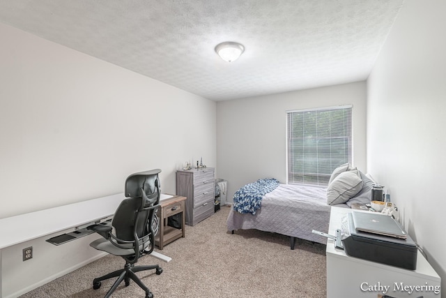 6387 Wainscot Dr SE Unit 102, Grand Rapids, MI 49546 - bedroom with carpet, a desk, a textured ceiling, and baseboards