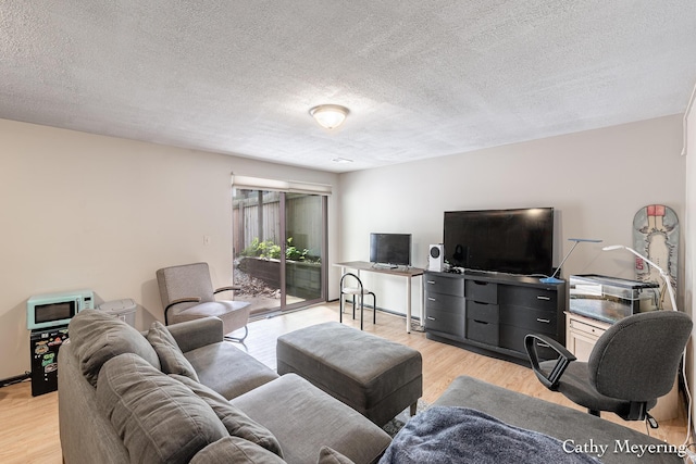 6387 Wainscot Dr SE Unit 102, Grand Rapids, MI 49546 - living area with light wood finished floors and a textured ceiling