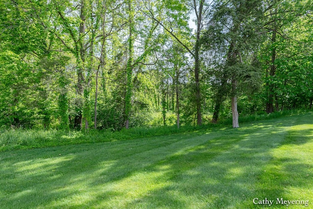 6387 Wainscot Dr SE Unit 102, Grand Rapids, MI 49546 - view of green lawn with a forest view