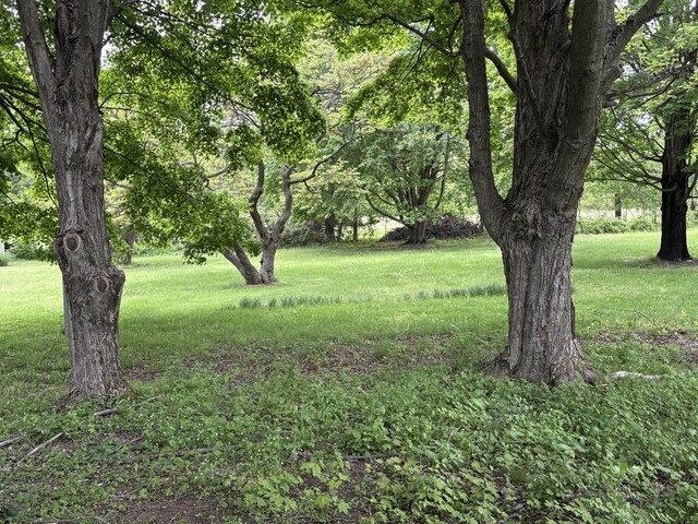 11638 Pucker St, Niles, MI 49120 - photo 4