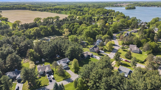 4465 Spinnaker Ln, Pleasant Lake, MI 49272 - view of property location featuring a forest, a nearby body of water, and nearby suburban area