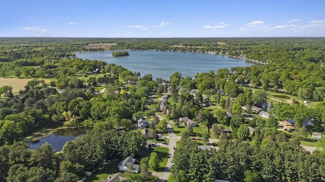 4465 Spinnaker Ln, Pleasant Lake, MI 49272 - aerial view of property and surrounding area with a forest and a nearby body of water