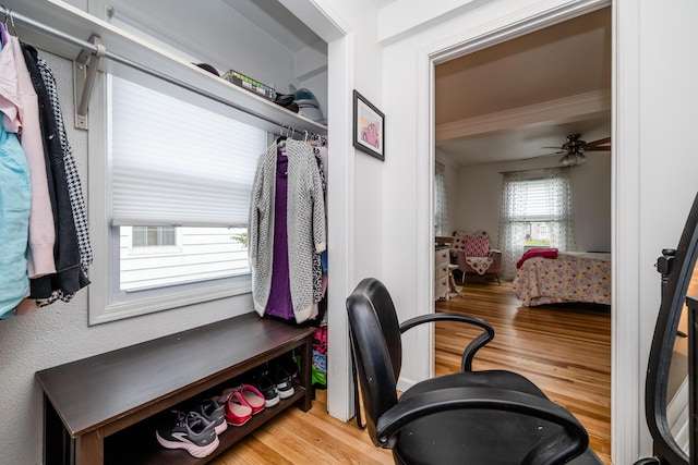 2630 Willa Dr, Saint Joseph, MI 49085 - walk in closet with wood finished floors and ceiling fan