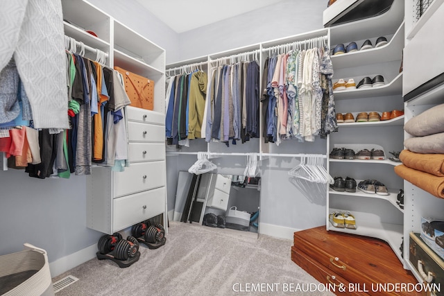 13944 Harrington Lndg, Holland, MI 49424 - walk in closet with carpet flooring