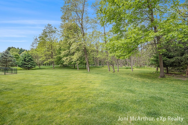 13 Foleys Grade, Lowell, MI 49331 - view of grassy yard