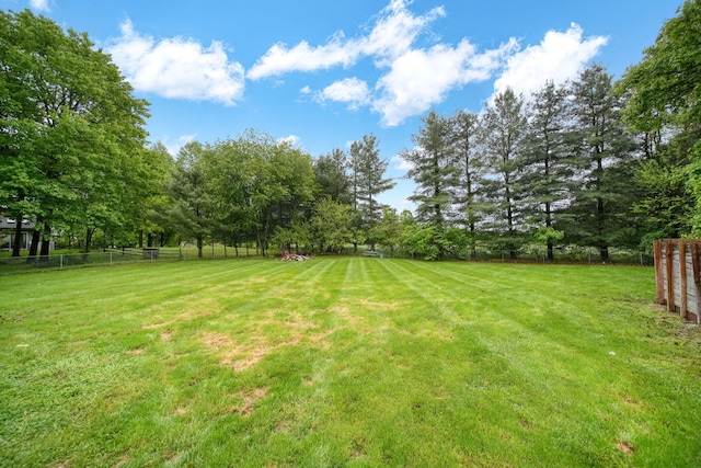 9428 Talladay Rd, Willis, MI 48191 - view of yard