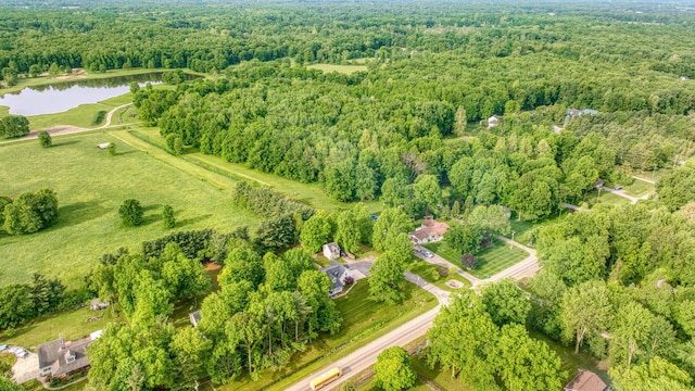 9428 Talladay Rd, Willis, MI 48191 - view of property location featuring a nearby body of water and a heavily wooded area