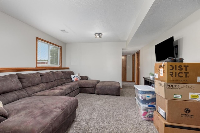 1443 140th Ave, Wayland, MI 49348 - carpeted living room with a textured ceiling