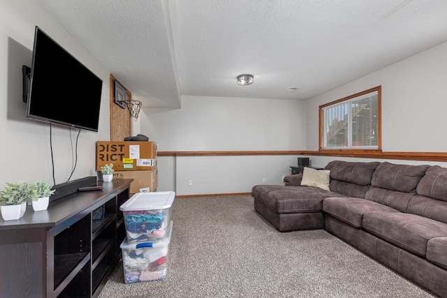 1443 140th Ave, Wayland, MI 49348 - carpeted living area featuring baseboards