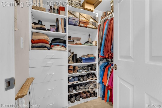22858 Saint George Cir S, Lyon, MI 48178 - walk in closet featuring carpet floors