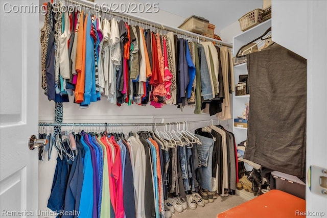 22858 Saint George Cir S, Lyon, MI 48178 - view of walk in closet
